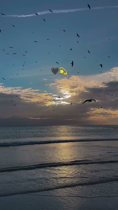 ishq murshid bgm ringtone # #bgm #pakistanidramaringtone #ishqmurshid