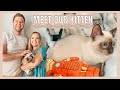 MEET OUR KITTEN | First Day, Kitten Tips, Tonkinese Cat の動画、YouTube動画。