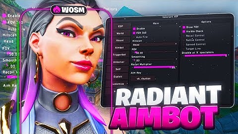 I Tried Valorant Cheats for the First Time… (BROKEN)