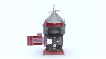 HAUS SEPARATOR ANIMATION - NEW