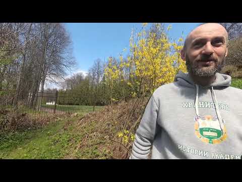 Добро пожаловать в