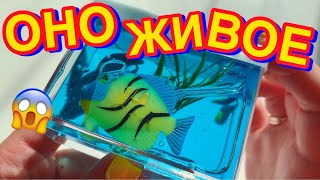 НИКОГДА НЕ ПОКУПАЙТЕ СЛАЙМЫ С РЫБКАМИ 🐠 Обзор Новинок Слаймов и Лизунов с Полок