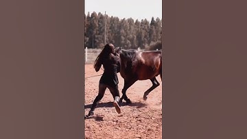 Thumbnail of Gejala Gejala Turkish Song status