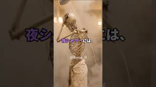 【あなたはどっち?】朝シャワーVS夜シャワー