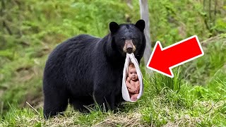 Black Bear Won’t Let Baby Go – The Reason Brings Ranger to Tears by Wonderbot Animals 3,364 views 1 month ago 10 minutes, 32 seconds