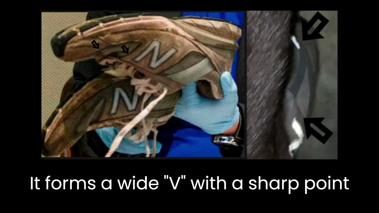 Murdaugh kennel video issue? Was it really recorded that night? YouTube