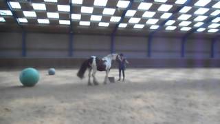 DSCN3493