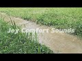 Soft Rain sounds on a small path. For calm, concentration, meditation and sleep.
