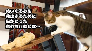 #109 わがまま猫キングのスカイウォークがレベルアップしました♪