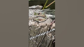 Sterling silver fork tine bypass ring #handmade #jewelry #diy #myring #sterlingsilver #upcycle