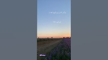 القارئ نايف الفيصل  | سورة ابراهيم  - الآية 42،43،44 | #قرآن #قرآن_كريم #اكسبلور #explore #quran