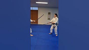 Thumbnail of Kenjutsu practise