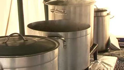 Climate change activists set up camp in London