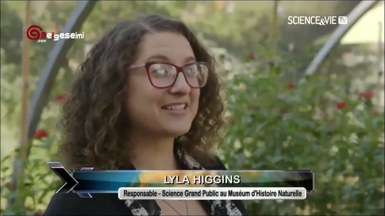 ⁣Şaşırtıcı Gezegenimizi  Keşfediyoruz Yetenekli Hayvanlar