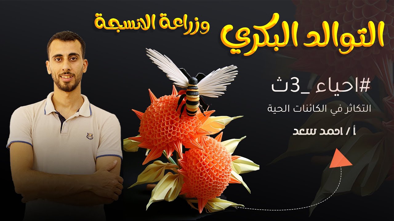 التوالد البكري وزراعة الانسجة الحصة الرابعة التكاثر في الكائنات الحية   3ث