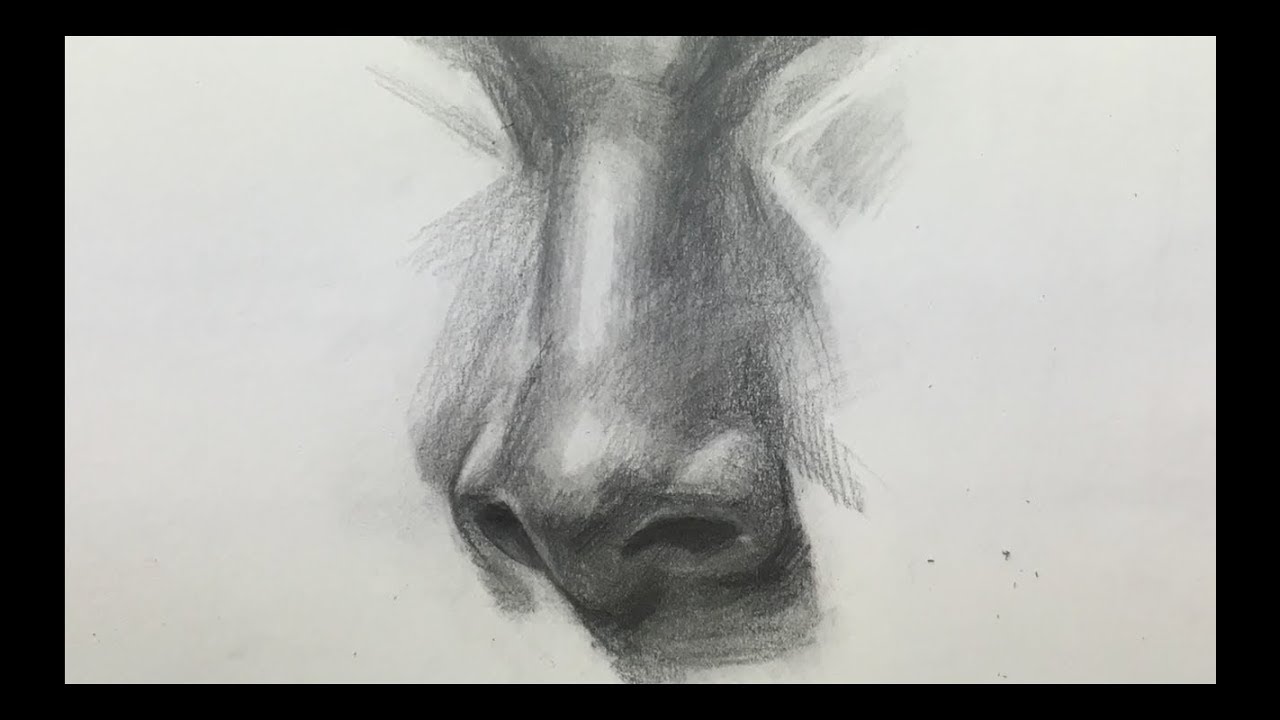  drawing nose which I drew with pencil - YouTube