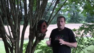 DIY Build Birdhouses With Crepe Myrtle Branches