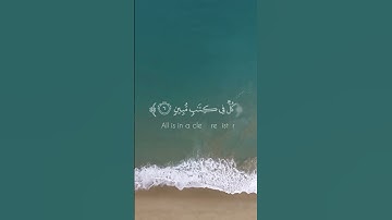 وما من دابة في الأرض إلا على الله رزقها     _ القارئ بدر التركي - سورة هود