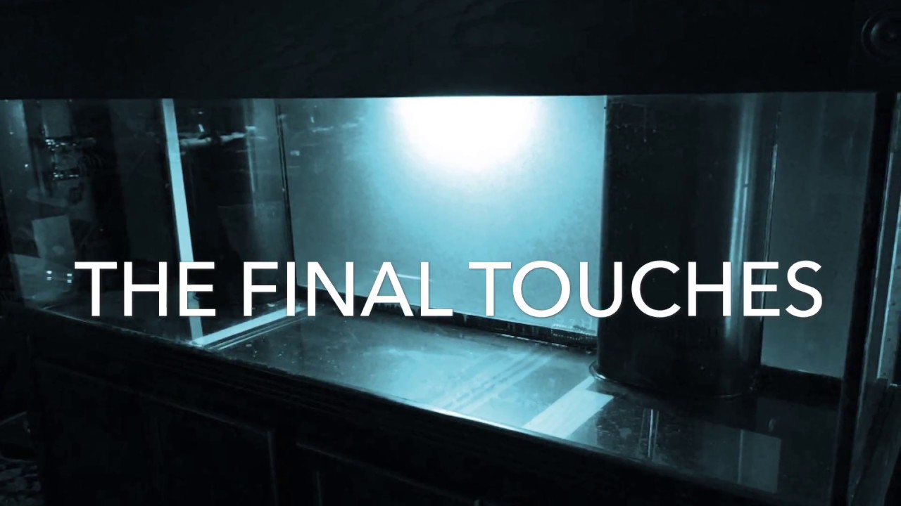 125 Gallon Reef Tank - Shadow Box Background Build - The Final Touches ...