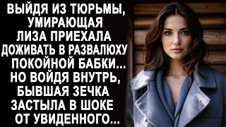 картинка: Выйдя на свободу, Лиза приехала в дом развалюху своей бабушки  Но войдя внутрь, она застыла