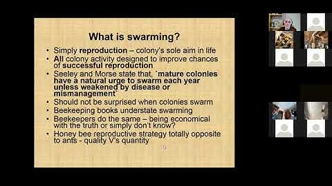 Wally Shaw  - Controlling your swarm