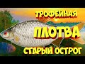 русская рыбалка 4 - Плотва озеро Старый Острог - рр4 фарм Алексей Майоров