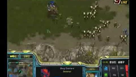 Bacchus OSL Round of 16 type b vs Stork Part 2/3