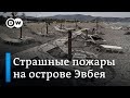 Страшный ущерб от пожаров в Греции: местные жители обвиняют власти в бездействии