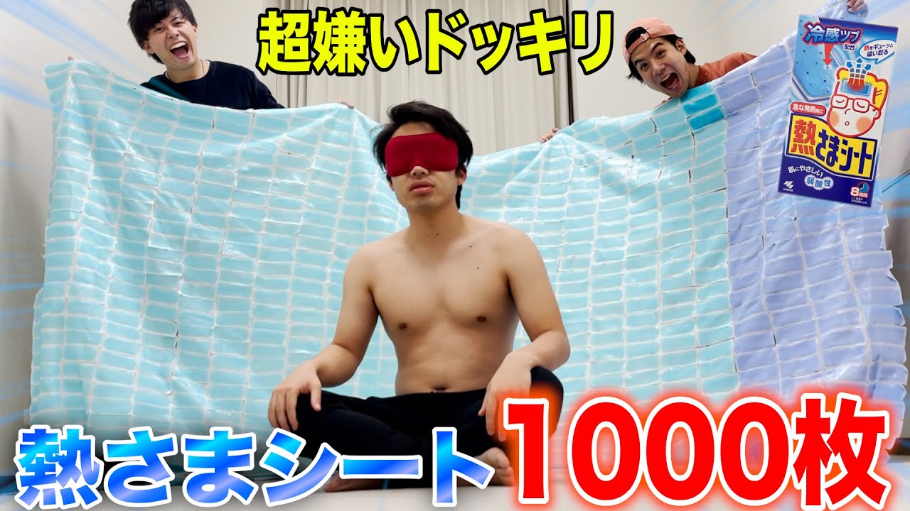 ⁣【ドッキリ】大嫌いな熱さまシート1000枚合体させてシルクをぶっ倒す！！！