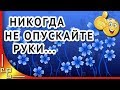 Никогда не опускайте руки....Красивые стихи о жизни