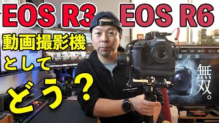 【カメラ】EOS R3とEOS R6を動画撮影機として比較！街撮影で実用してみた感想！