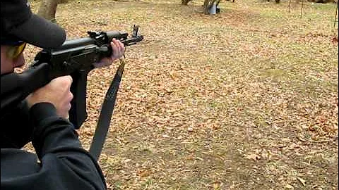 Saiga .223 & Universal MSA Adapter -w- P Mag and AK Mag.AVI