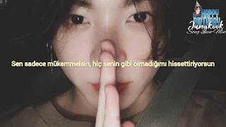 Jungkook - Decalcomania (Türkçe Altyazılı)