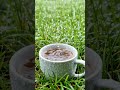 Tea, Rain and Tranquillity #rainyday #nature #explore #tea #artisync @Artisync_ai