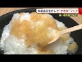 シロップは田上町特産の梅やモモ! 刃にもこだわったふわふわ氷が楽しめる『かき氷フェア』【新潟】 (21/08/11 19:51)
