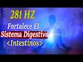 Música / Frecuencia Curativa a 281 HZ Restablece tu Sistema Digestivo | Intestinos | Tono+Frecuencia