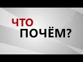 Что почём - мониторинг цен продуктов в Мирном (от 05.02.2024)