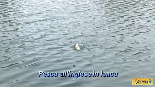 MONDO PESCA - PESCA ALL' INGLESE IN LANCA  -  SOSTENETE ARIZONA TV ABBONATEVI LIGHT  #pescasportiva