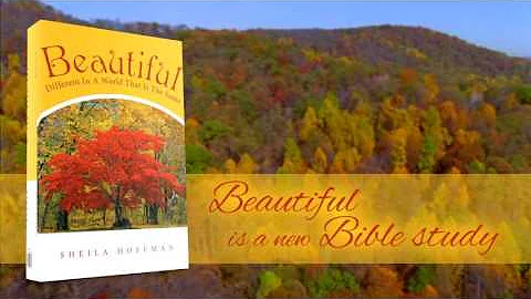 Beautiful by Sheila Hoffman