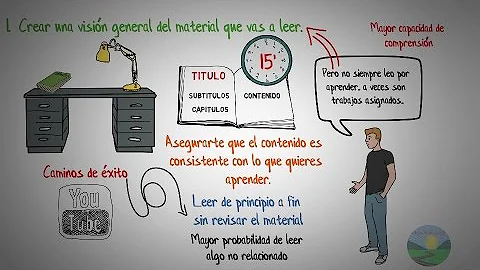 ¿Cuáles son los 5 pilares de la lectura?