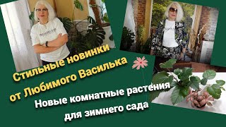 Купила случайно комнатные растения для зимнего сада. Модные и полезные новинки от Любимого Василька.