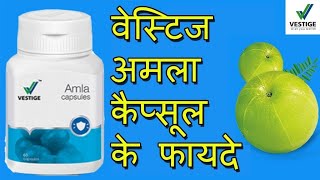 Vestige Amla Capsules Benefits in Hindi | For Hair growth & Kidney Stone