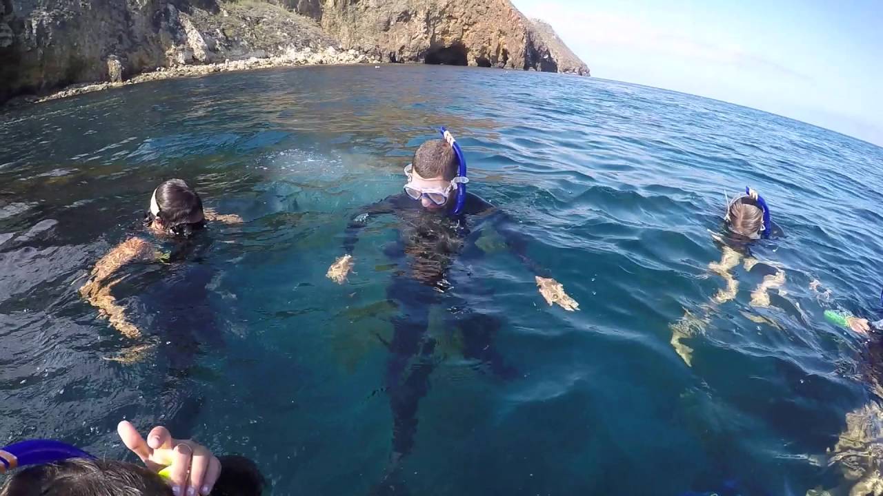 channel islands snorkeling tour