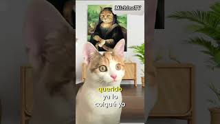 🐈‍⬛ Cuando Tu Esposo Es Muuuy Despistado 😹😹😹 #Gatos #Cat #Humor