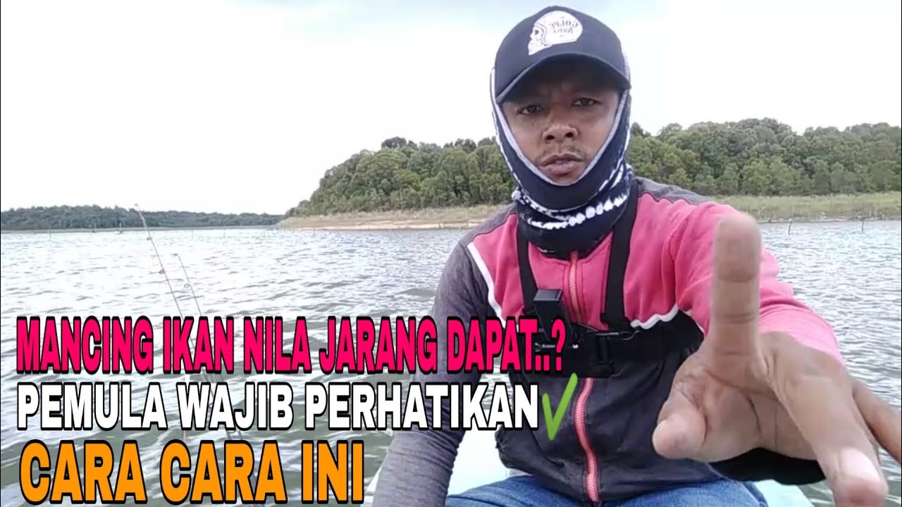 Begini Cara Paling Jitu Buat Mancing Ikan Nila Liar||di jamin dapat