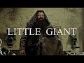 The Heart of a Giant | Rubeus Hagrid