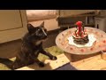 【生放送】つむちゃんバースデーパーチー