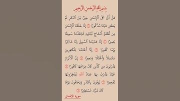 القرآن الكريم سورة الإنسان صلاح بو خاطر #القرآن_الكريم #راحة_نفسية #اطمئن