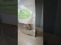 Chicory & Gardenia tea bags #chicoryandgardenia #chicorytea #gardeniatea #dealsforyoudays
