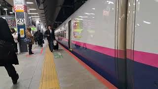 E2系やまびこE3系つばさ17両編成　JR東京駅